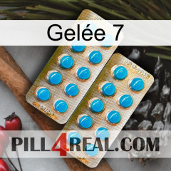 Gelée 7 new08